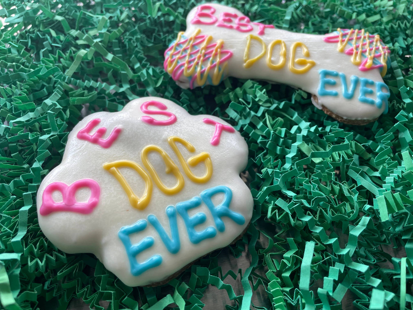 dog treat