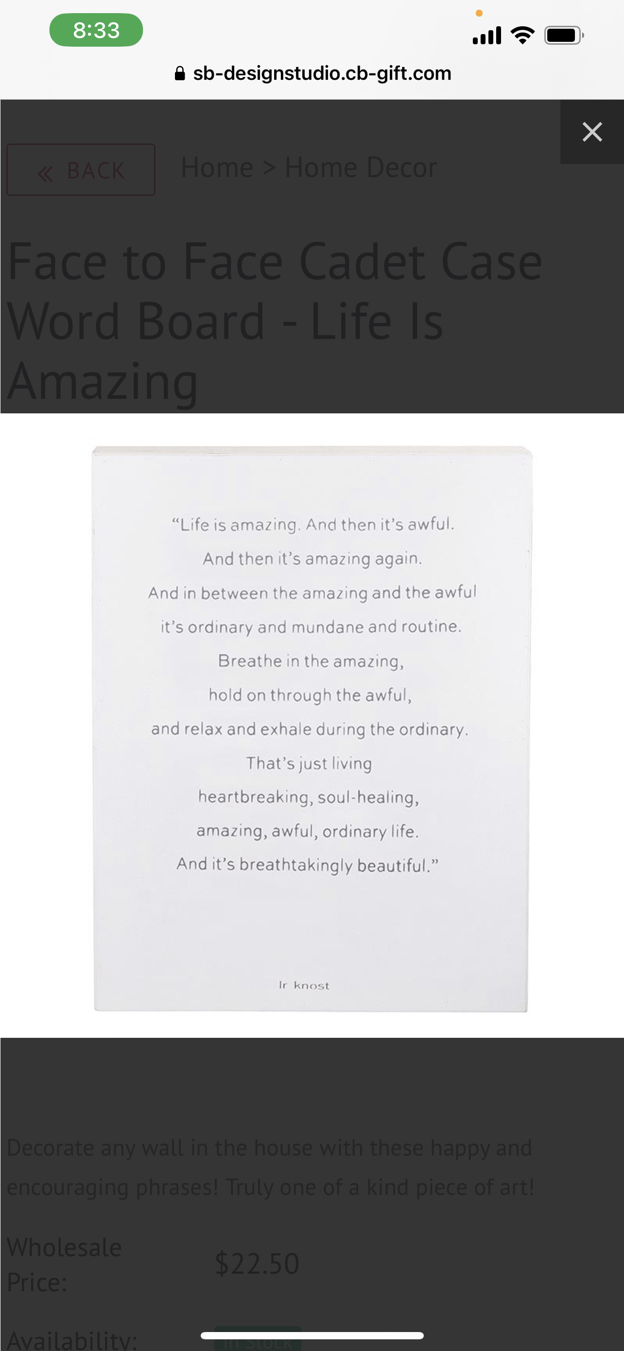 Life is Amazing Wall Art