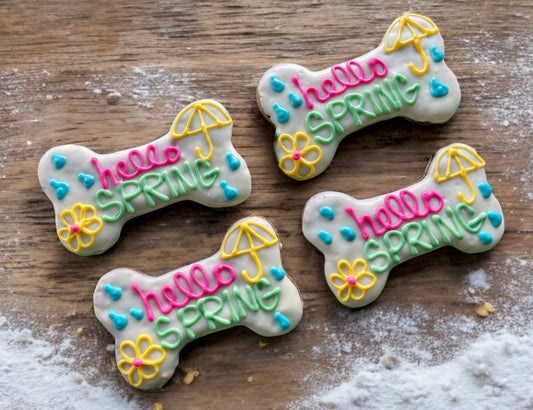 6 inch Hello Spring Bone dog treat