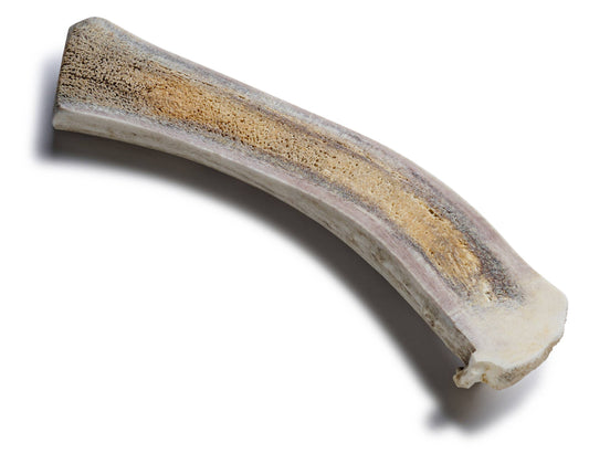 Deer Antler Large Split