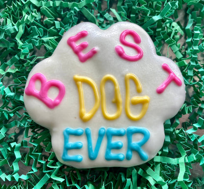 dog treat