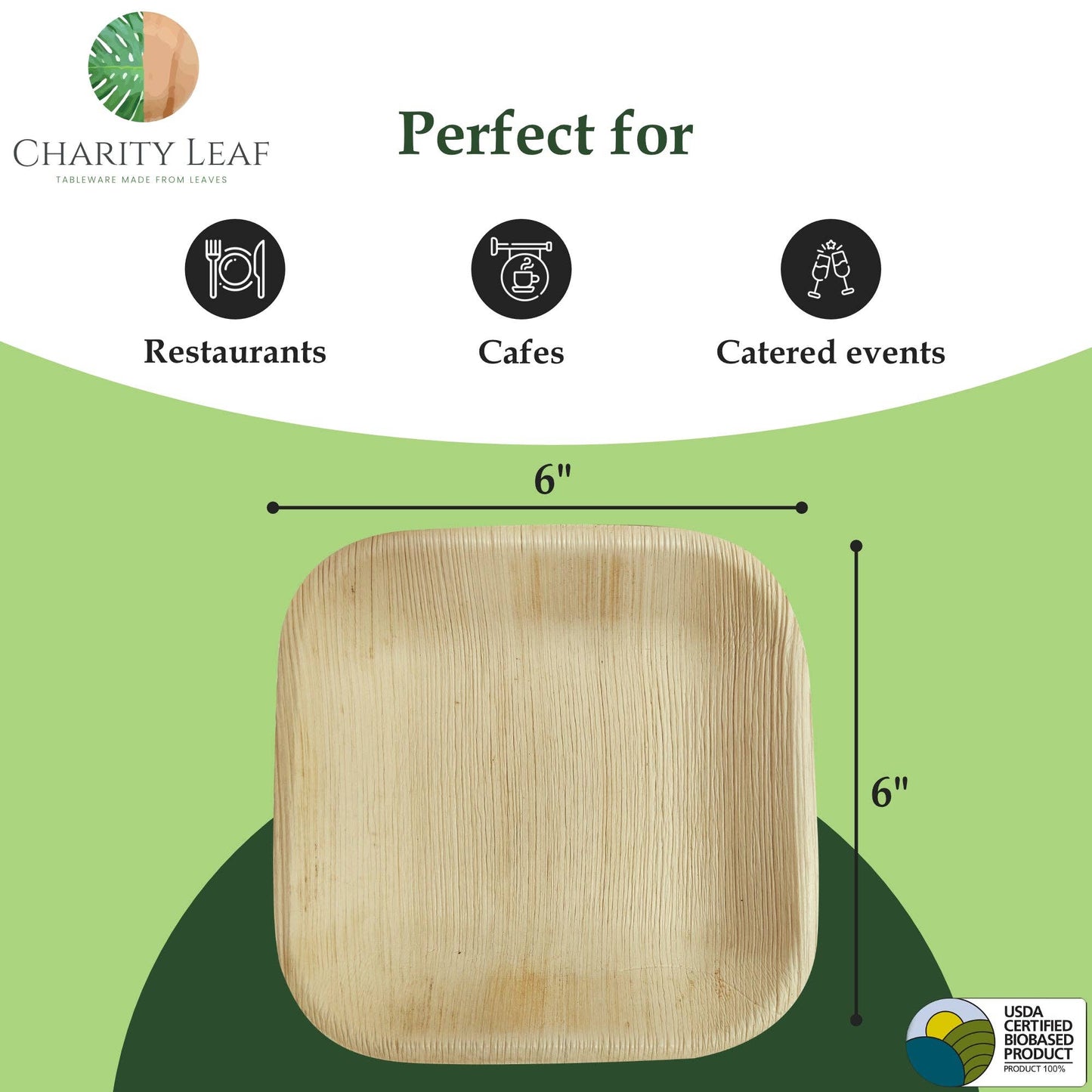 Palm Leaf Square Plate - 6" Inch - Pack of 50 Plates