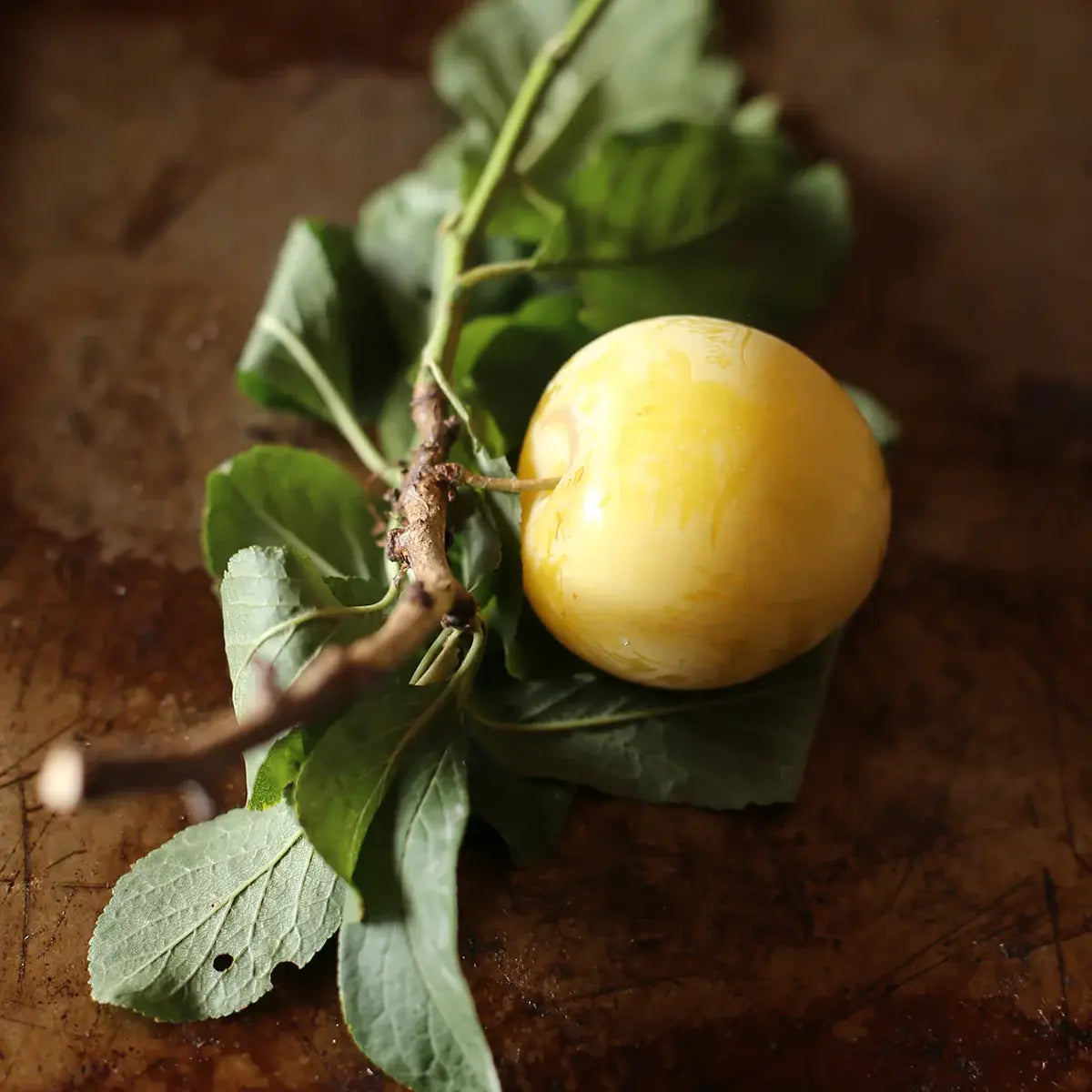Shiro Plum with Mint 7.75oz